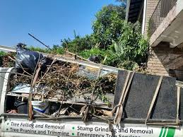 Best Carpet Removal and Disposal  in Montgomery, TX